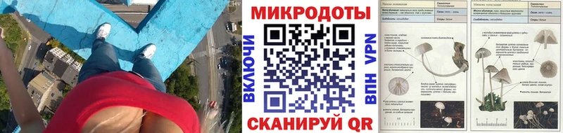 Псилоцибиновые грибы Cubensis  Высоцк 