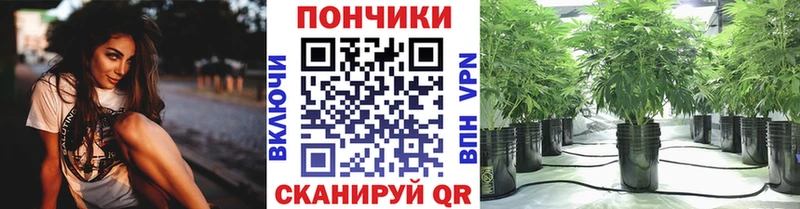mega ссылка  Высоцк  Шишки марихуана марихуана 